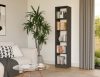 Riano R40 dulap cu rafturi, 40x182x30 cm, antracit 
