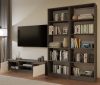 Riano R60 dulap cu rafturi, 60x182x30 cm, antracit 